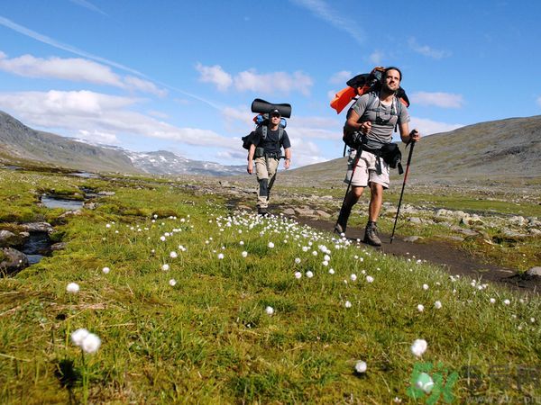 小伙辭職旅行3年帶回美國女友 徒步旅游裝備有哪些？