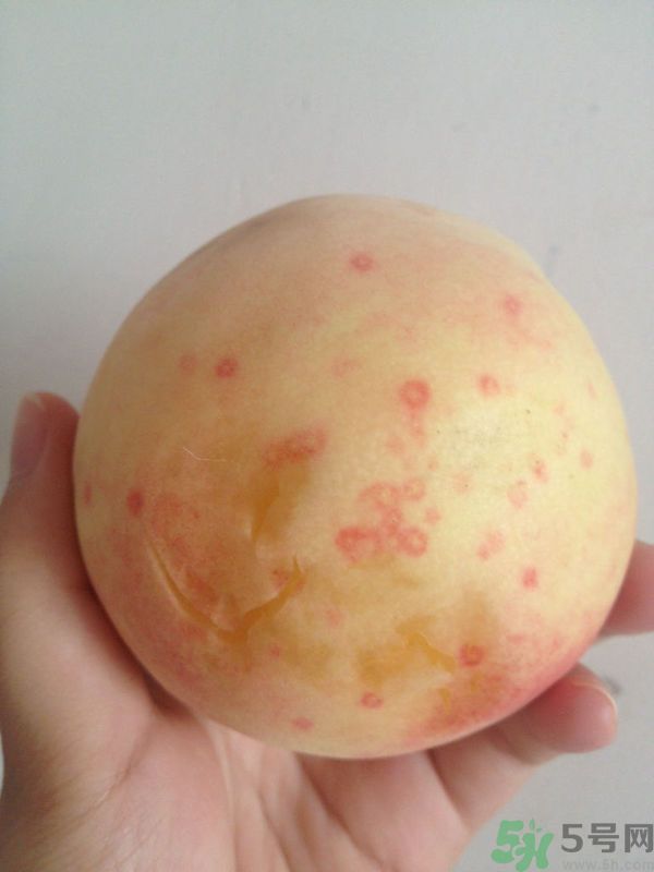 桃子上有紅點(diǎn)能吃嗎？桃子上有黑點(diǎn)可以吃嗎？