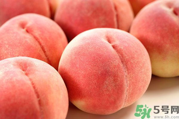 桃子和杏子可以一起吃嗎？杏子和桃子有什么區(qū)別？