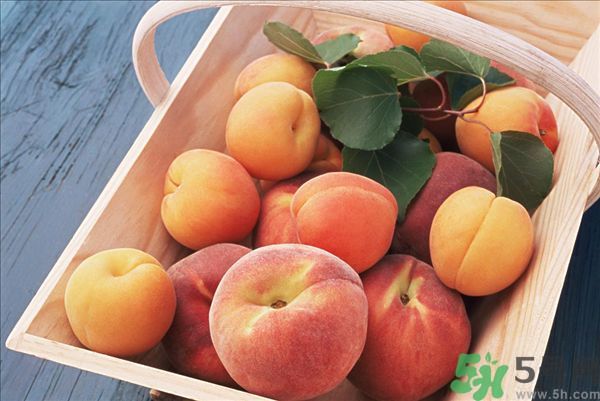 桃子和杏子可以一起吃嗎？杏子和桃子有什么區(qū)別？