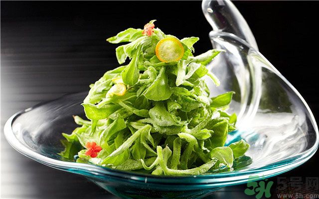 什么是冰草？冰草有什么作用？