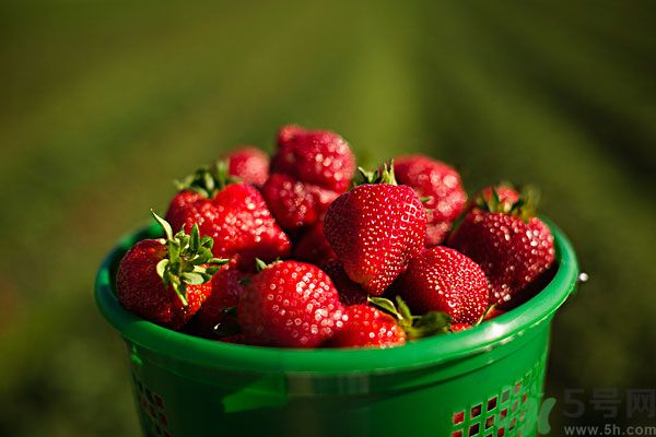 五月吃什么水果好？五月有哪些水果可以吃？