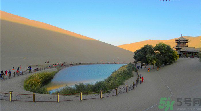 月牙泉再現(xiàn)鐵背魚 什么是鐵背魚？