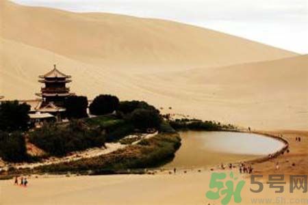 月牙泉再現(xiàn)鐵背魚 什么是鐵背魚？