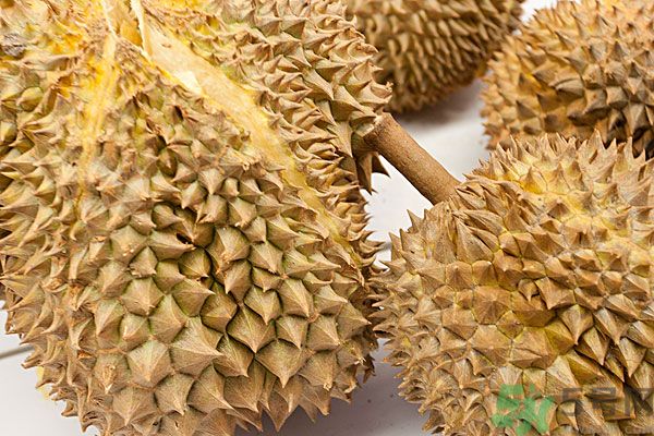 吃榴蓮會(huì)上火嗎？榴蓮是發(fā)物嗎？