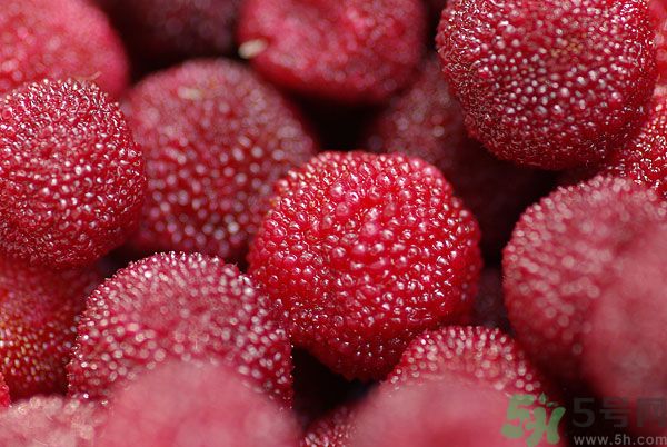 楊梅和梅子是一樣的嗎？楊梅和梅子有什么區(qū)別？