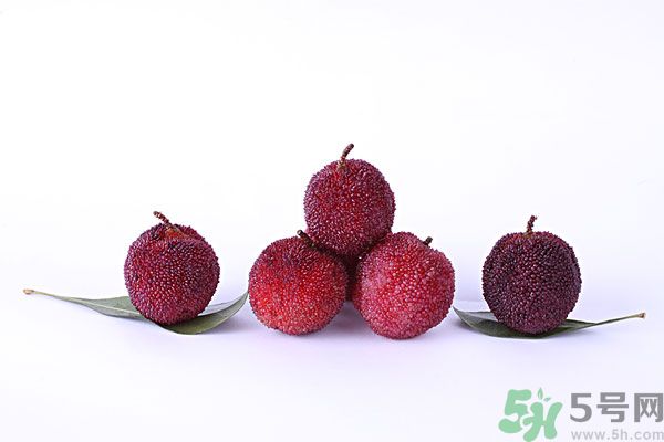 楊梅和梅子是一樣的嗎？楊梅和梅子有什么區(qū)別？