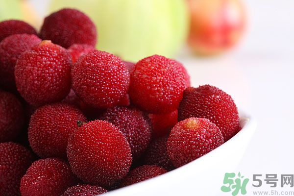 楊梅和梅子是一樣的嗎？楊梅和梅子有什么區(qū)別？