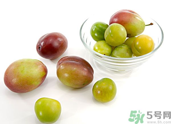 楊梅和梅子是一樣的嗎？楊梅和梅子有什么區(qū)別？