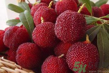 楊梅是不是發(fā)物？楊梅是發(fā)物嗎？