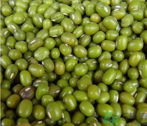 吃綠豆可以減肥嗎？喝綠豆湯能減肥嗎？