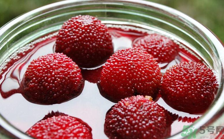 寶寶可以吃楊梅嗎？寶寶多大可以吃楊梅？