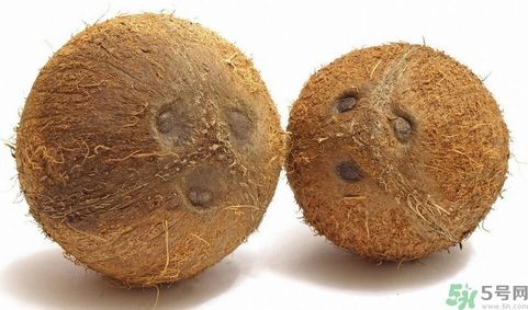 椰子能帶上飛機(jī)嗎？坐飛機(jī)能帶椰子嗎?