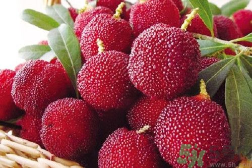 楊梅和牛奶能一起吃嗎?楊梅和牛奶一起吃會怎么樣 楊梅和牛奶能一起吃嗎?楊梅和牛奶一起吃會怎么樣