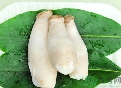 吃杏鮑菇有什么好處？吃杏鮑菇對身體好嗎？