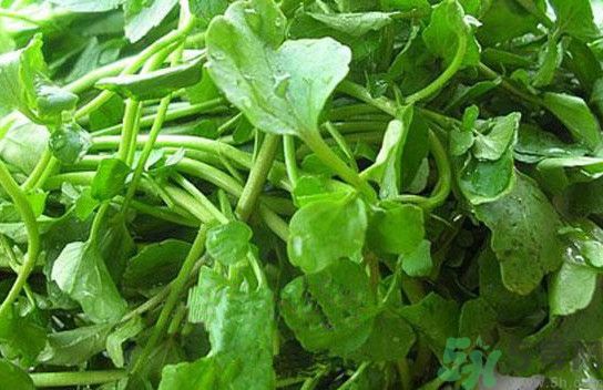 水腫能吃茄子嗎？茄子能消水腫嗎？