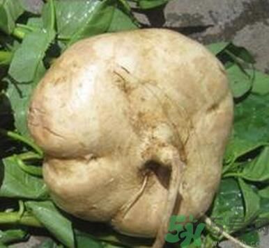 地瓜可不可以生吃？地瓜生吃好嗎？