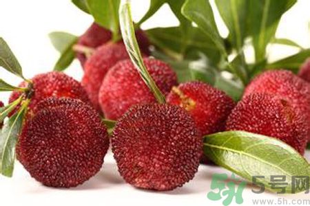 牙齦出血可以吃楊梅嗎？牙齦出出血吃楊梅好嗎？