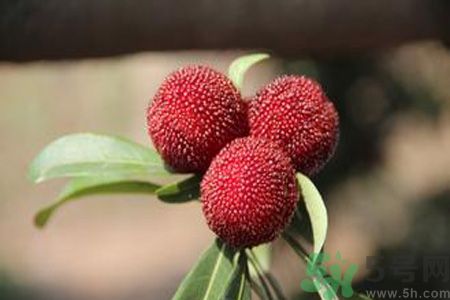 吃楊梅會上火嗎？吃楊梅上火怎么辦？