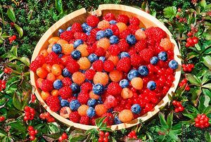 痛風(fēng)能吃櫻桃嗎？痛風(fēng)吃櫻桃可不可以？