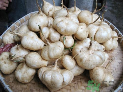 白地瓜怎么做好吃？白地瓜的做法有哪些？