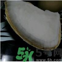 椰子可以放冰箱嗎？椰子放冰箱容易壞嗎？