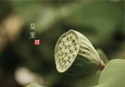夏至有什么習俗？夏至吃什么傳統(tǒng)食物？