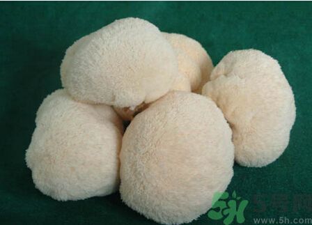 吃猴頭菇有什么好處？猴頭菇有什么營養(yǎng)價值？