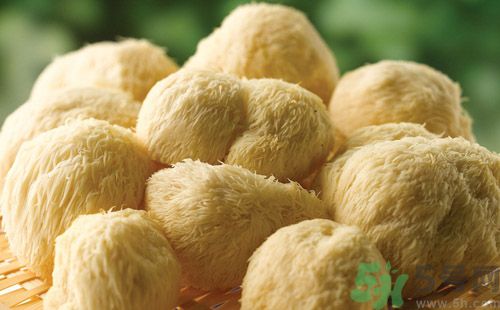 吃猴頭菇有什么好處？猴頭菇有什么營養(yǎng)價值？