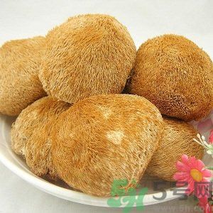 吃猴頭菇有什么好處？猴頭菇有什么營養(yǎng)價值？