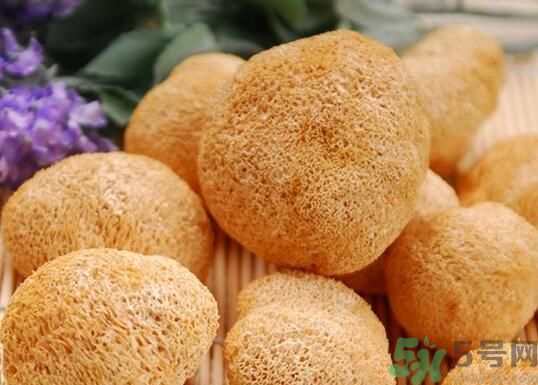 猴頭菇粉怎么做？猴頭菇餅干怎么做？