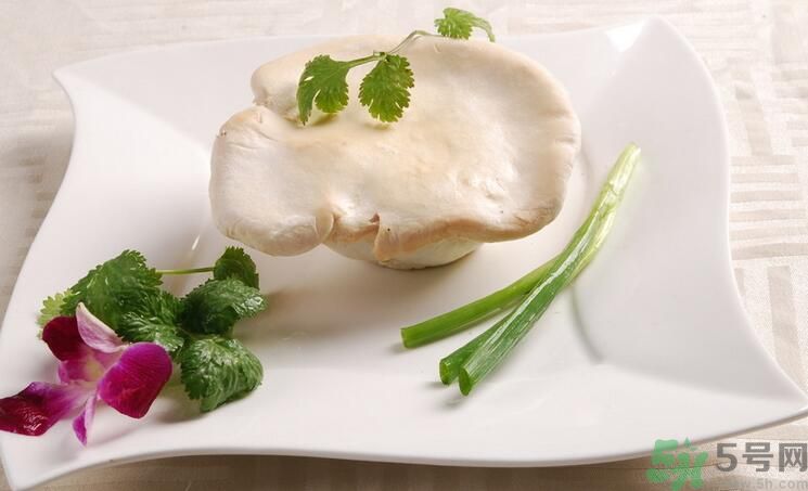 白靈菇和杏鮑菇有什么區(qū)別？白靈菇有什么營養(yǎng)價值？