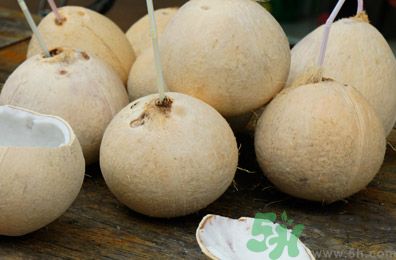 孕婦能吃椰子嗎？孕婦能喝椰子汁嗎？