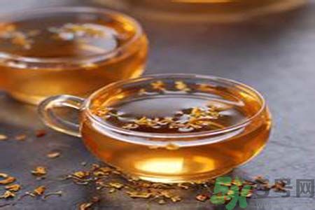 懷孕可以喝酸梅湯嗎？孕婦可以喝酸梅湯嗎？