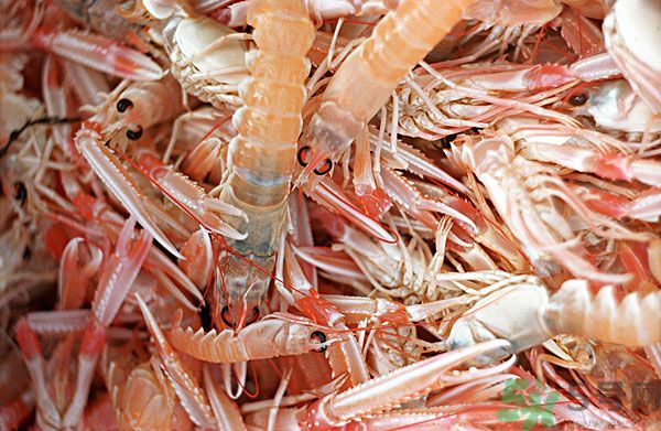 死蝦被稱腦死亡 死蝦吃了會怎么樣？