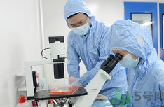 生物免疫療法是什么?生物免疫療法有用嗎? 生物免疫療法是什么?生物免疫療法有用嗎?