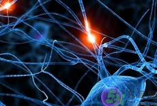 生物免疫療法的缺點,生物免疫療法的好處.png 生物免疫療法的缺點,生物免疫療法的好處.png