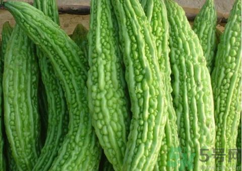 苦瓜的皮可以吃嗎？苦瓜要不要削皮？