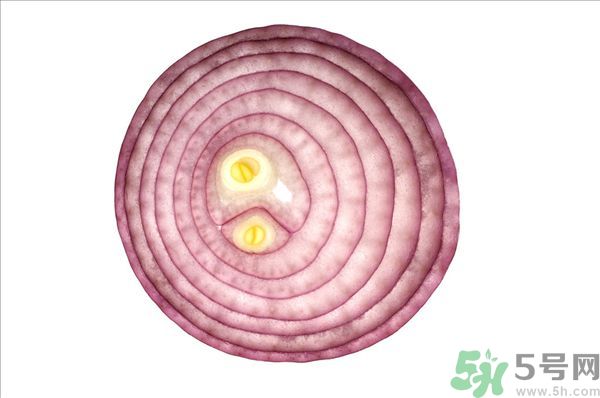 吃洋蔥上火嗎？吃洋蔥會上火嗎？