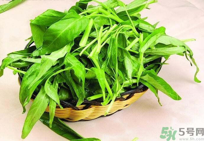 空心菜有什么功效？空心菜的功效是什么？