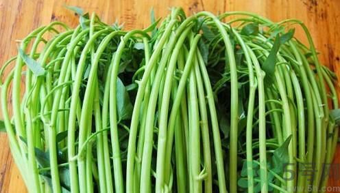 空心菜吃葉子還是吃桿？空心菜吃葉子好嗎？