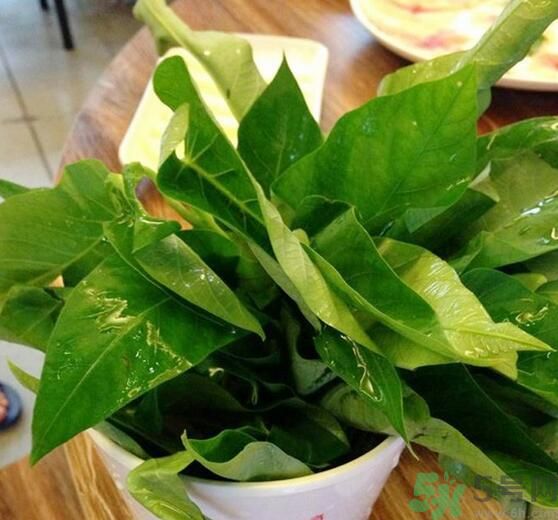 空心菜泡水了還能吃嗎？泡水的空心菜可以吃嗎？