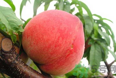 吃桃子怎么去毛？吃桃子有什么技巧？