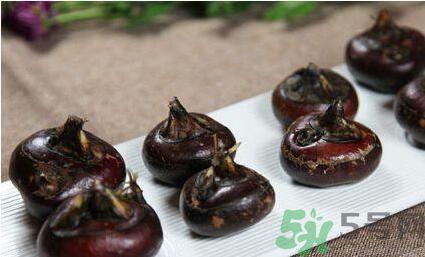 荸薺是寒性還是熱性？荸薺是寒性嗎？