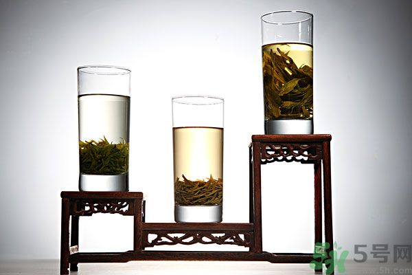 茯苓和苦丁茶能一起泡嗎？茯苓可以和苦丁茶一起喝嗎？