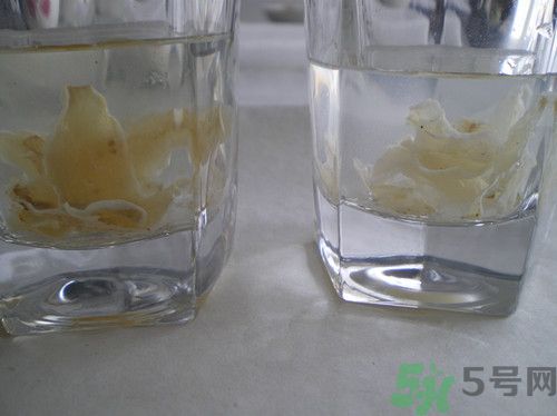 硫磺熏過的百合能吃嗎？如何辨別硫磺熏過的百合？