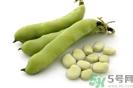 蠶豆是熱性還是涼性？蠶豆是熱性的嗎？