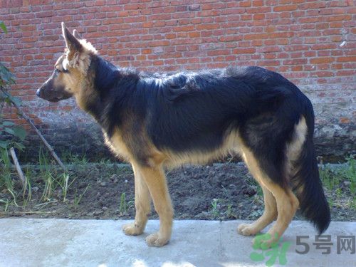 1462779376569521.jpg 20140220201846-1817019660.jpg