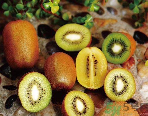 獼猴桃扁嘴的好嗎？獼猴桃扁嘴好還是尖嘴好？