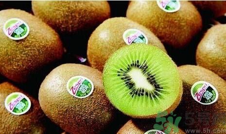 黃心獼猴桃和綠心獼猴桃哪個好？黃心獼猴桃和綠心獼猴桃有什么區(qū)別？